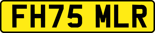 FH75MLR