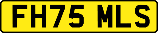 FH75MLS