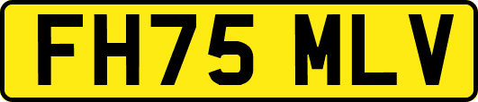 FH75MLV