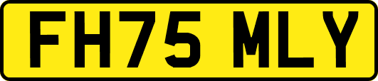 FH75MLY
