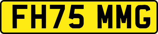 FH75MMG