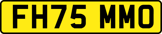 FH75MMO