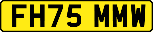 FH75MMW