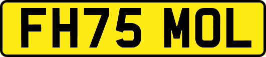 FH75MOL