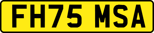FH75MSA