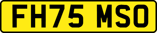 FH75MSO