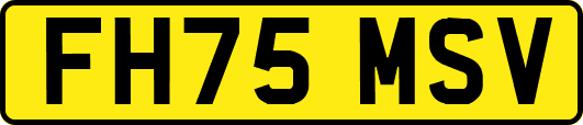 FH75MSV