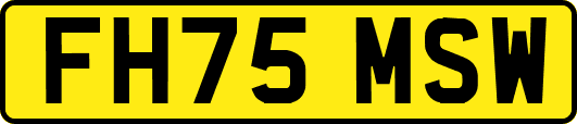 FH75MSW
