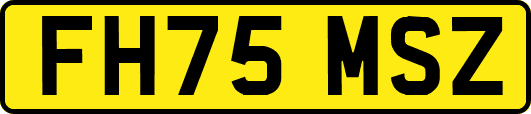 FH75MSZ