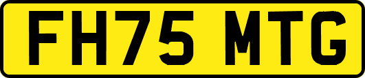 FH75MTG