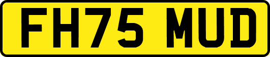 FH75MUD