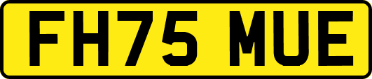 FH75MUE