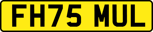 FH75MUL