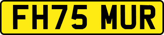 FH75MUR