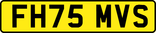 FH75MVS