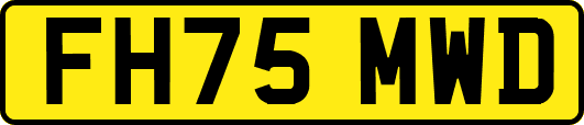 FH75MWD