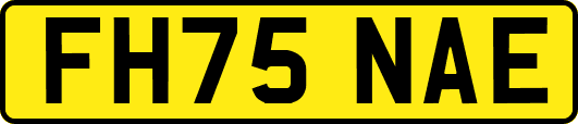 FH75NAE