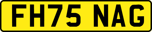 FH75NAG