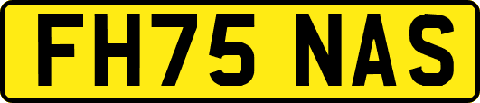 FH75NAS