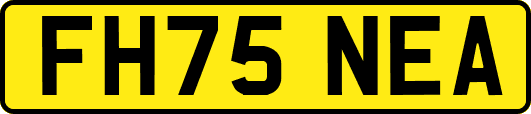 FH75NEA