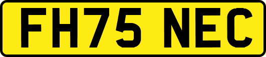 FH75NEC