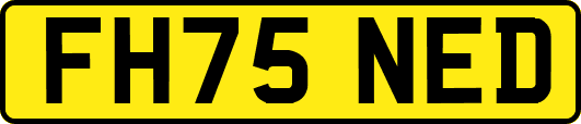 FH75NED