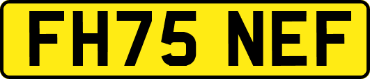 FH75NEF