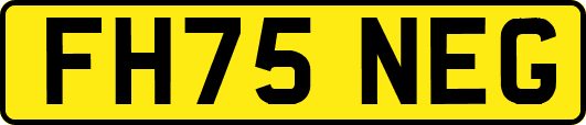 FH75NEG
