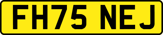 FH75NEJ
