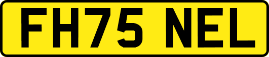 FH75NEL