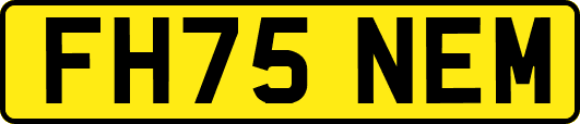 FH75NEM