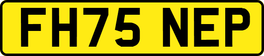 FH75NEP