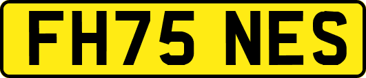 FH75NES