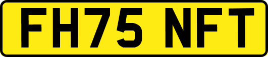 FH75NFT