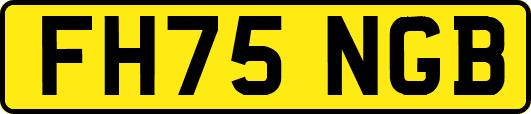 FH75NGB