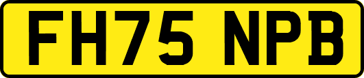 FH75NPB