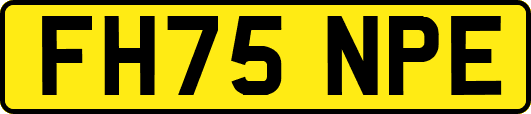 FH75NPE