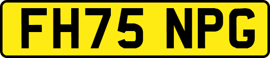 FH75NPG