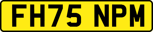 FH75NPM
