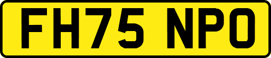 FH75NPO