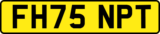 FH75NPT