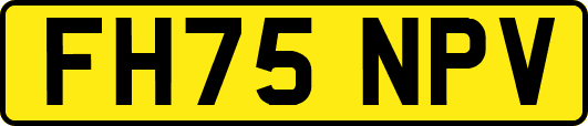 FH75NPV