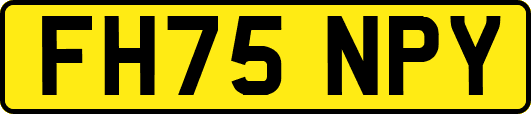 FH75NPY
