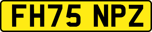 FH75NPZ
