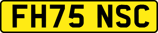 FH75NSC