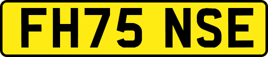 FH75NSE