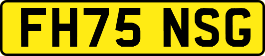 FH75NSG