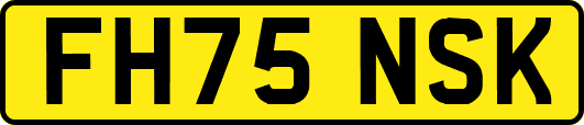 FH75NSK