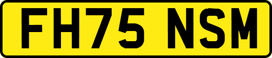 FH75NSM