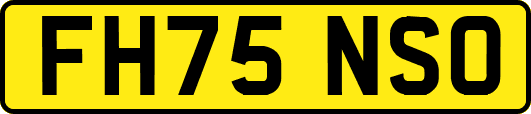 FH75NSO
